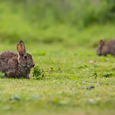 Yorkshire Dales 10 By Together Travel - 3-bed Ensuite Retreat